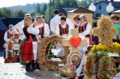 image_ 004